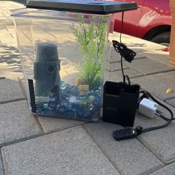 Bettas Home 3 Gallons 
