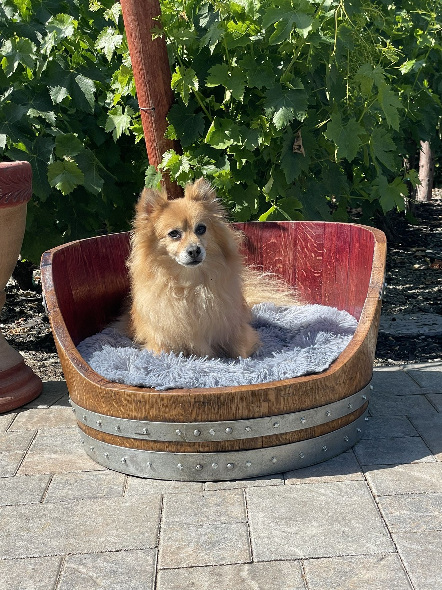 Wine Barrel Dog Bed