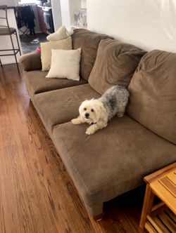 Couch For Cheap!
