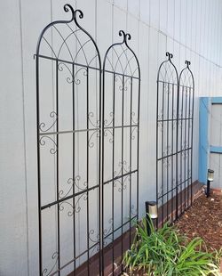 Trellis