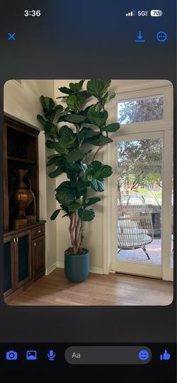 10 foot tall luxury faux plant in slate blue ceramic planter