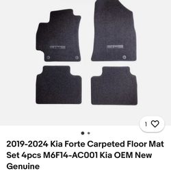 Kia forte carpet mats OEM