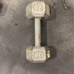 20 Pound Dumbbell 