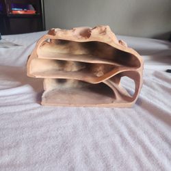 Small Retile Lizard Hide Rock