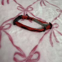pet collar