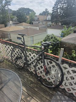 DiamondBack