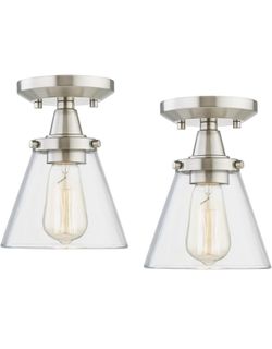 Ceiling Light  2 Pack 