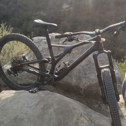 2019 Specialized Stumpjumper Carbon Large 