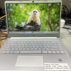 Hp Intel I5 10th Gen Laptop 12gb Ram 256 Gb Hdd Windows 11 Office 07 90days Warranty 