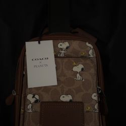 Coach X Peanuts 
