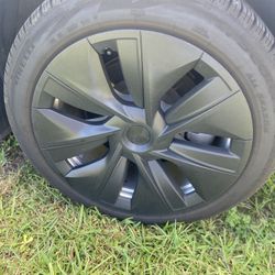 Tesla Model 3 Hug Caps 