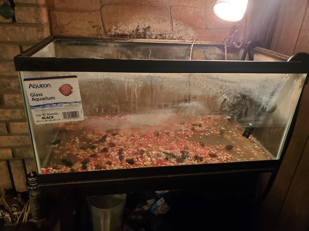 For Sale 40 Gal Breeder Tank And Fluval 207 canister filter.