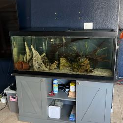 75 Gallon Glass Tank And Stand- Marineland 