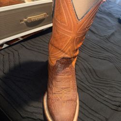 Stetson Shark Skin Boots