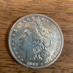 2 Silver Dollar Coins
