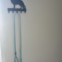 biothane dog leashes 