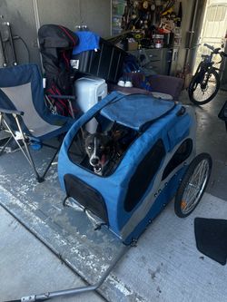 Pet bike carrier