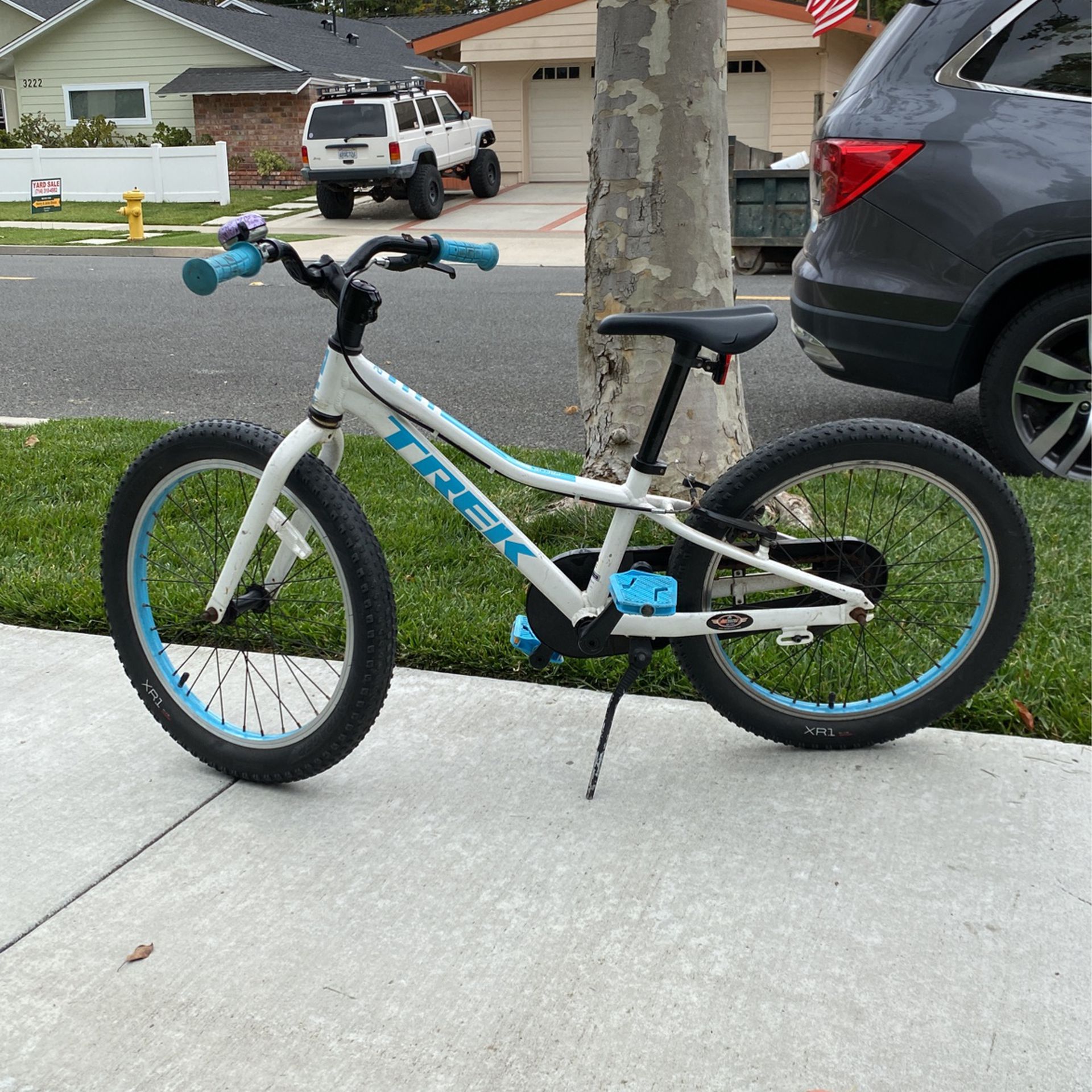 Kid’s Trek Bicycle 