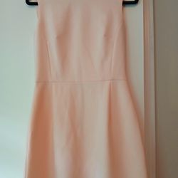 French Connection Sheath Pink Dress 