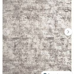 13'x10' Area Rug