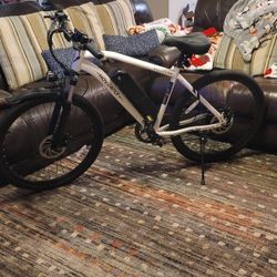 Hoverfly Ourea Electric Bike With New Seat