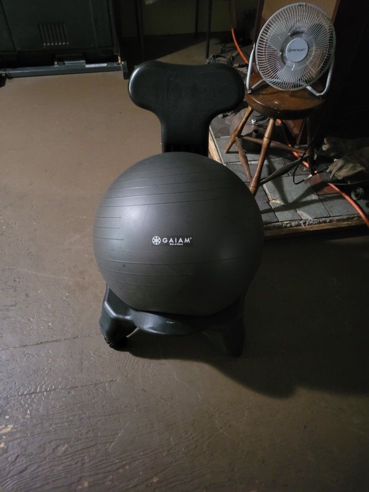 Balance Ball Chair