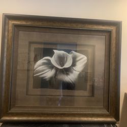 Large Iris Floral Print Picture 49”w x 42”h