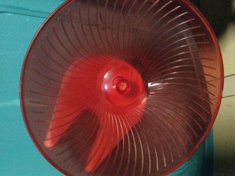 Big exercise wheel / exersauser