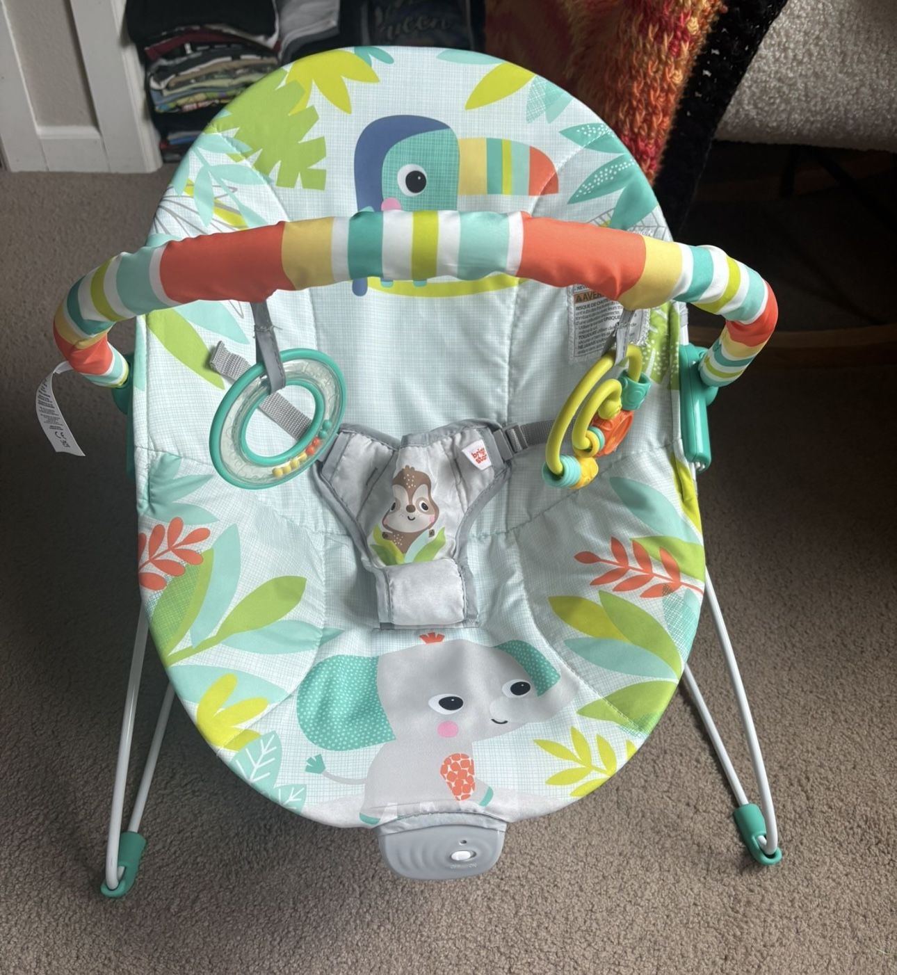 Bright Starts Baby Bouncer
