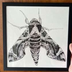 Oleander Hawk Moth Original Art Drawing Framed Art