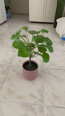 Faux plant