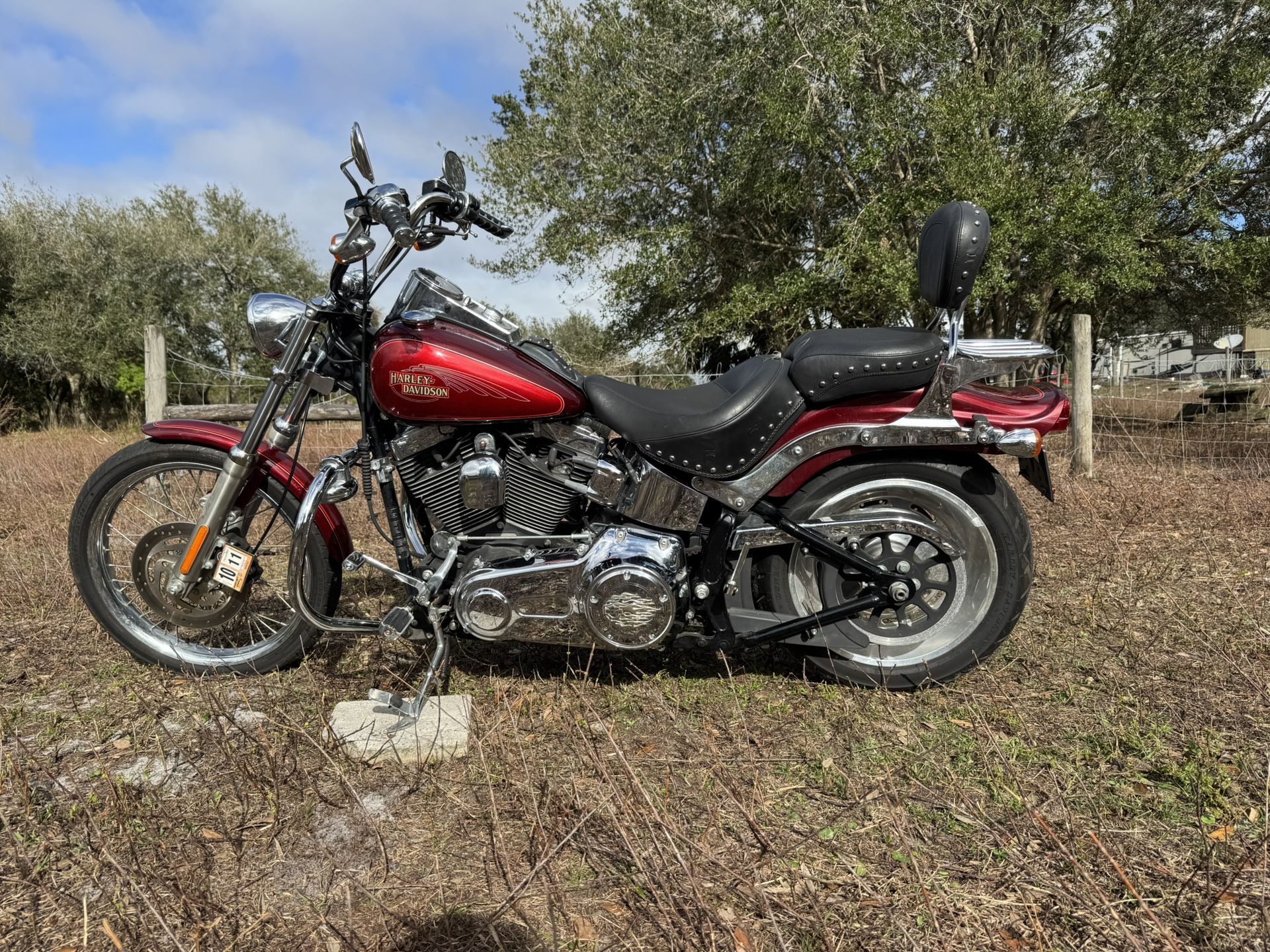 2008 Harley Davidson Soft tail Custom