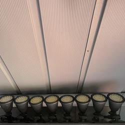 8 Pcs Solar Light For Landscaping 