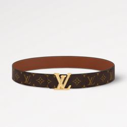 LV Reversible Belt