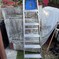 Werner 6’ Ladder