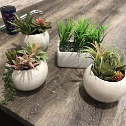 Faux Plants