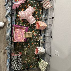 Guinea Pig Supplies!