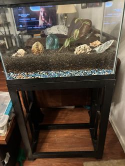 30 Gallon Aquarium With Pump, Stand, Filters