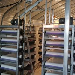 Fully Automatic Quail Line Cages