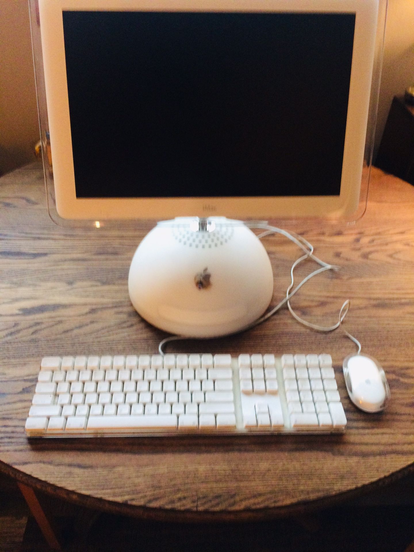Vintage 15” iMac Computer PowerPC G4 💻💻💻