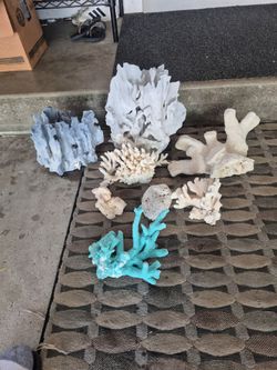 Salt water coral