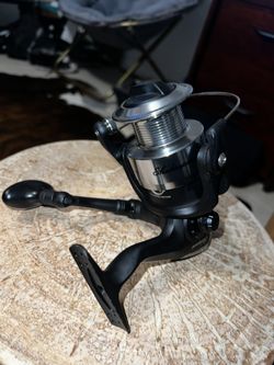 Shakespeare 5000 Reel