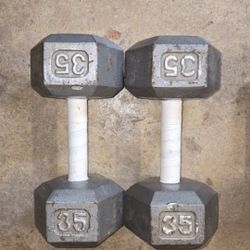 35 lbs Dumbell Pair 