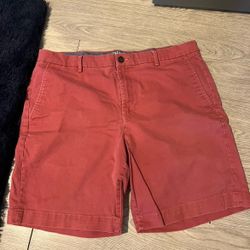 Champs Maroon Dress Khaki Shorts