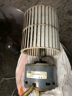 AC Fan Motor