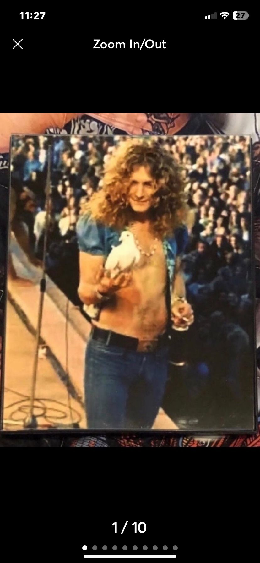 LED ZEPPELIN Robert Plant 1973 Concert INFAMOUS Holding A Dove 8X10 Framed Photo