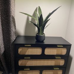 3 Drawer Modern Ratan Dresser 13.78"D x 31.5"W x 31.3"H