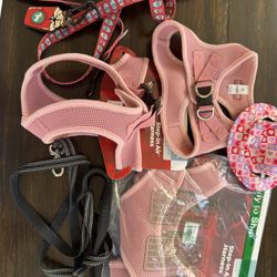 Puppy Small Dog Pack Harnesses/ Leashes