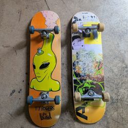 Two Skateboards