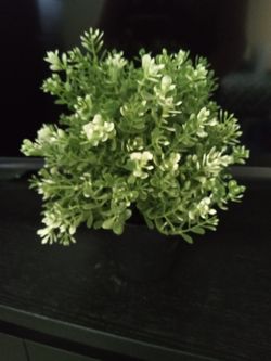 Ikea fake house plants